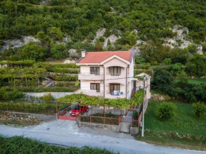 Pavle's Oasis